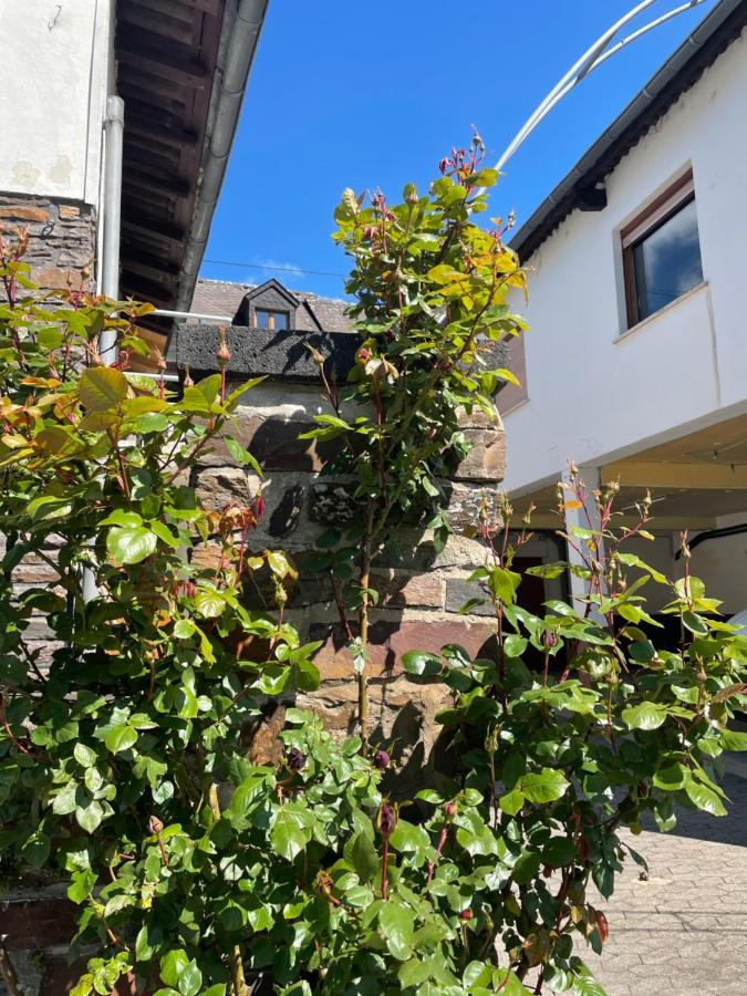 Altes Weingut Broehl